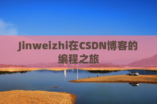Jinweizhi在CSDN博客的编程之旅